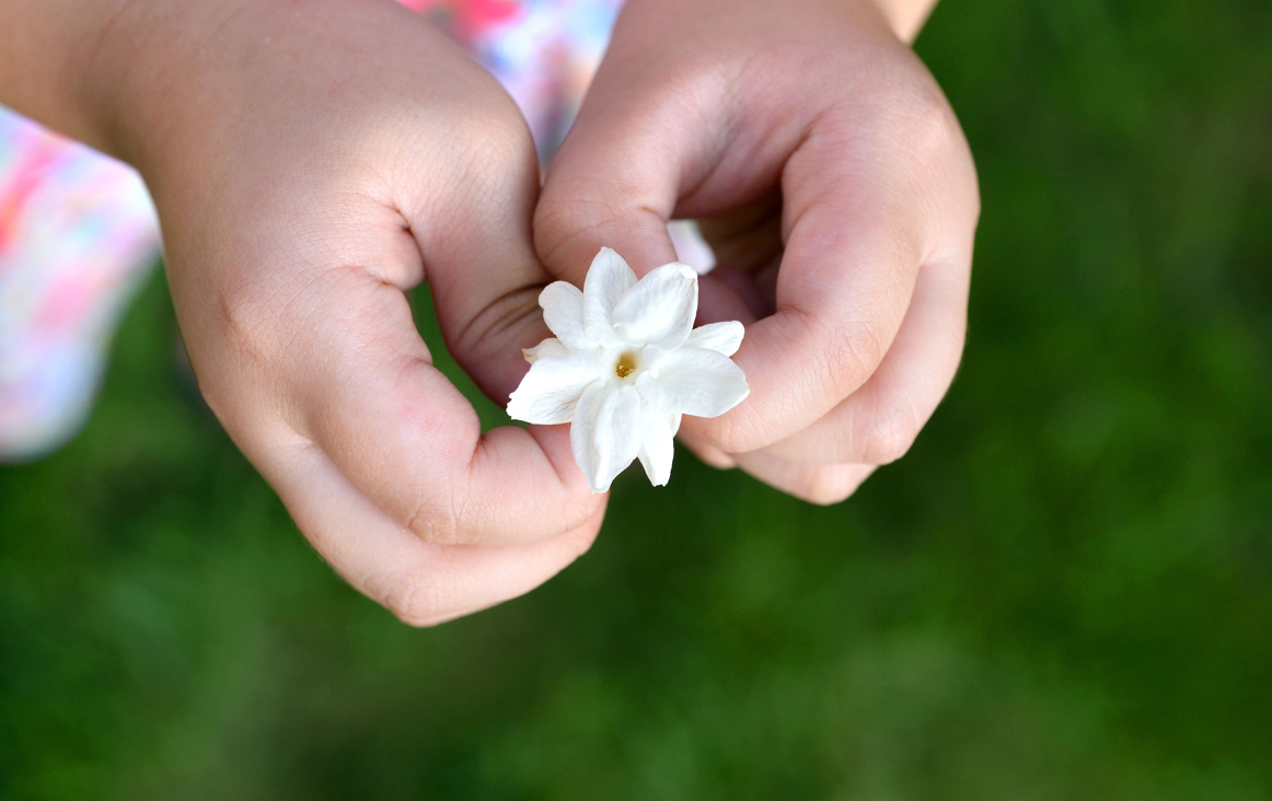 Kinderhanden met jasmijnbloemetje. Foto Shutterstock